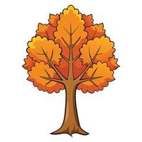 autumn tree sugar maple tree creative design style vector