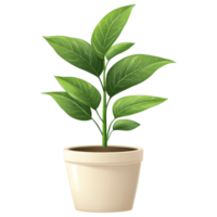 Small indoor plant in modern pot, adding freshness to any space. clip art on a transparency background png