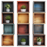 Wall mounted storage cubes with plants in colorful frames clip art on a transparency background png
