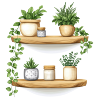 Floating corner shelf with decorative plants and jars, adding fresh touch. clip art on a transparency background png