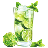 Refreshing lime soda with mint leaves in glass, garnished with lime slices. clip art on a transparency background png