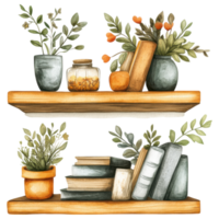 Decorative floating corner shelf with plants and books clip art on a transparency background png