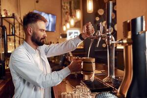 Bartender pours, beer. Man is working in the bar. photo