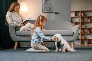 Side view... Girl is playing with her pet. Mother with daughter is at home with maltese dog photo