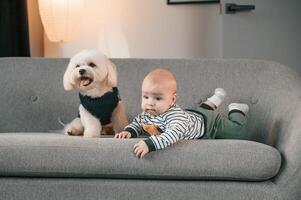 Toddler is ,on the sofa with maltese dog. Indoors at home photo