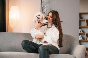 Sitting on the sofa. Beautiful woman is with, maltese dog is at home photo