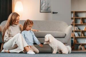 Playing with pet. Mother with daughter is at home with maltese dog photo