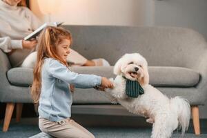 Woman is, on, the sofa with book. Mother with daughter is at home with maltese dog photo