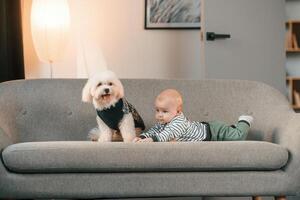 Animal is in black clothes.. Toddler is on the sofa with maltese dog. Indoors at home photo