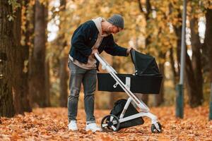 Looking, inside the pram. Man is having a walk in the autumn park photo