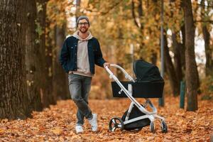 Standing and ,enjoying a nature. Man with pram is having a walk in the autumn park photo