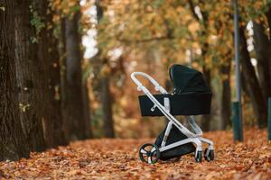 Black pram is in the autumn forest at daytime. photo