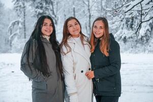 Tres ,hermoso mujer son en pie en el invierno bosque juntos foto