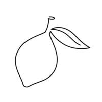 Lemon fruit illustration. Single line icon. Line art Lemon. One line Lemon citrus illustration. Outline fruit isolated on white background vector