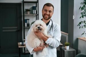 Doctor, in white ,coat is standing and holding maltese dog in hands. In the clinic photo