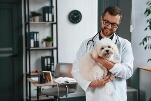 In, glasses. Doctor in white coat is standing and holding maltese dog in hands. In the clinic photo