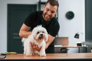 Man is smiling.. Groomer is with Maltese dog indoors. Man is in the black uniform photo