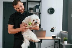 Man is smiling. Groomer is with Maltese dog indoors. Man is in the black uniform photo