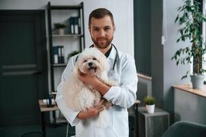 Doctor, in, white coat is standing and holding maltese dog in hands. In the clinic photo