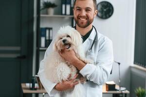Doctor in white coat is standing and holding maltese dog in hands. In the clinic photo