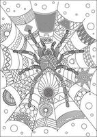 Spider Web Coloring Page Print Spider Web Outline Sketch vector