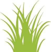 A vibrant green of a lush grass patch with long blades vector