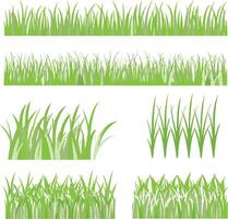 Collection of various green grass s for design elements and nature scenes vector