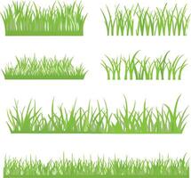 Collection of Green Grass s Various Styles and Densities for Design Elements vector