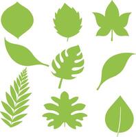 Collection of various green leaf shapes and silhouettes botanical vector