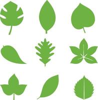 Collection of Nine Different Green Leaf Shapes and Silhouettes for Nature Designs vector