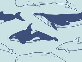 Seamless pattern with whale, animals seamless pattern wallpaper background for your design vector