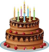 Delicious Two Layered Chocolate Birthday Cake with Cherries and Colorful Candles vector