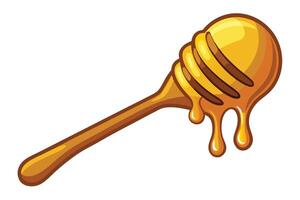 A honey dipper dripping with golden honey. vector