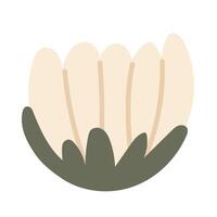 Fresh daisy in closeup vector