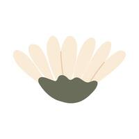 Simple chamomile illustration vector