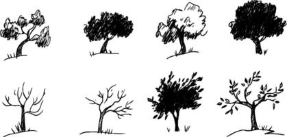 Hand-Drawn Tree Illustrations in Various Styles vector