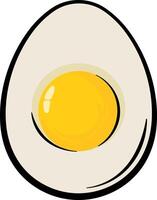 half a boiled chicken egg without background vector
