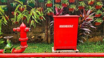 red fire hydrant and green plants in the park, closeup of photo