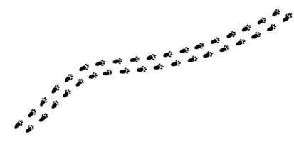 Curving trail of bunny footprints leading through a snowy field on a quiet winter morning vector
