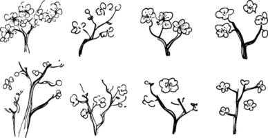 A collection of hand-drawn sketches of flowering branches, showcasing various styles and arrangements of blossoms and twigs. vector