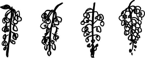 A series of four hand-drawn illustrations of hanging flowers, showcasing different styles and arrangements. Each flower cluster features elongated shapes and delicate petals. vector