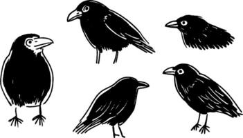 A collection of five stylized black bird illustrations, showcasing different poses and angles. The birds have distinct features like beaks and feathers, rendered in a simple, artistic style. vector