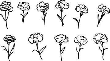 A collection of hand-drawn carnation flowers in various poses, showcasing their delicate petals and slender stems. The illustrations are simple and elegant, perfect for floral designs. vector