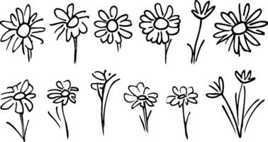 A collection of hand-drawn flowers in various styles and sizes, showcasing different shapes and arrangements. The flowers have simple outlines and are depicted in a whimsical manner. vector