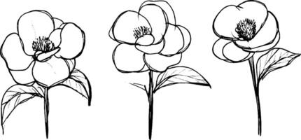 Three hand-drawn flowers with simple outlines, each featuring petals and leaves. The flowers are depicted in a minimalist style, showcasing their natural beauty. vector