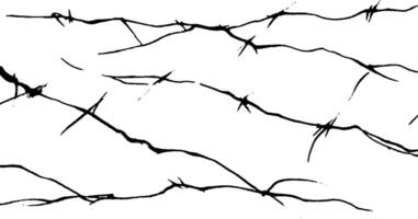 A pattern of black barbed wire on a white background, creating a stark contrast. The wire is depicted in a jagged, irregular manner, emphasizing its sharpness and danger. vector