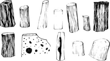 A collection of hand-drawn wooden logs and stumps of various shapes and sizes, showcasing different textures and patterns. vector