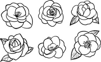 A collection of six hand-drawn camellia flowers in various styles. Each flower features distinct petals and leaves, showcasing the beauty of this popular ornamental plant. vector