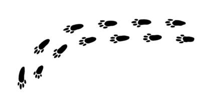 Curious bunny footprints tracing a playful path across a snowy landscape at dawn vector