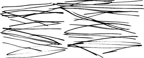 A series of abstract black lines crossing and overlapping on a white background, creating a dynamic and chaotic visual effect. vector